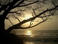 DSCN0201